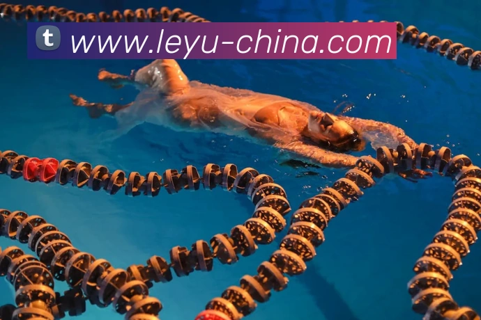 App Interface Preview